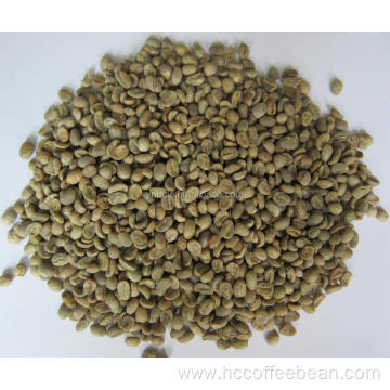 polished arabica green coffee beans
